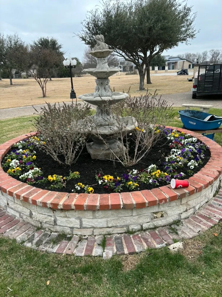 Reliable yard cleanup service for homes across Dallas, TX - Landscaping Flowers