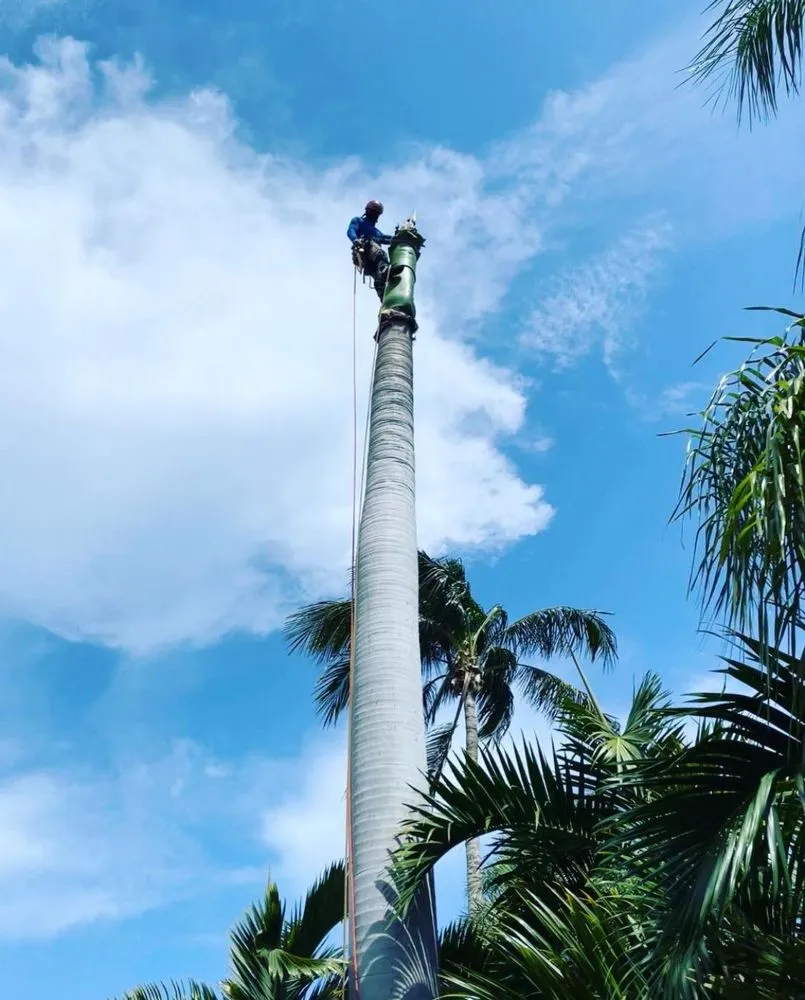 Affordable garden landscaping with custom design across Miami, FL - Landscaping Four Seasons