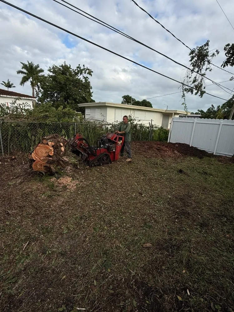 Expert residential landscaping near you across Miami, FL - Landscaping Four Seasons