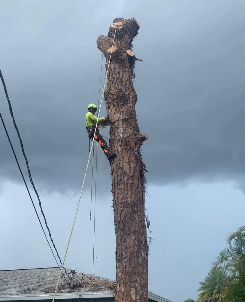 Custom landscaping services experts serving Miami, FL - Landscaping Four Seasons