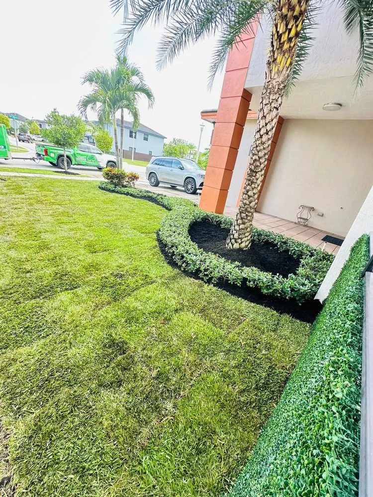 Custom lawn care service for residential properties across Miami, FL - Landscaping Four Seasons