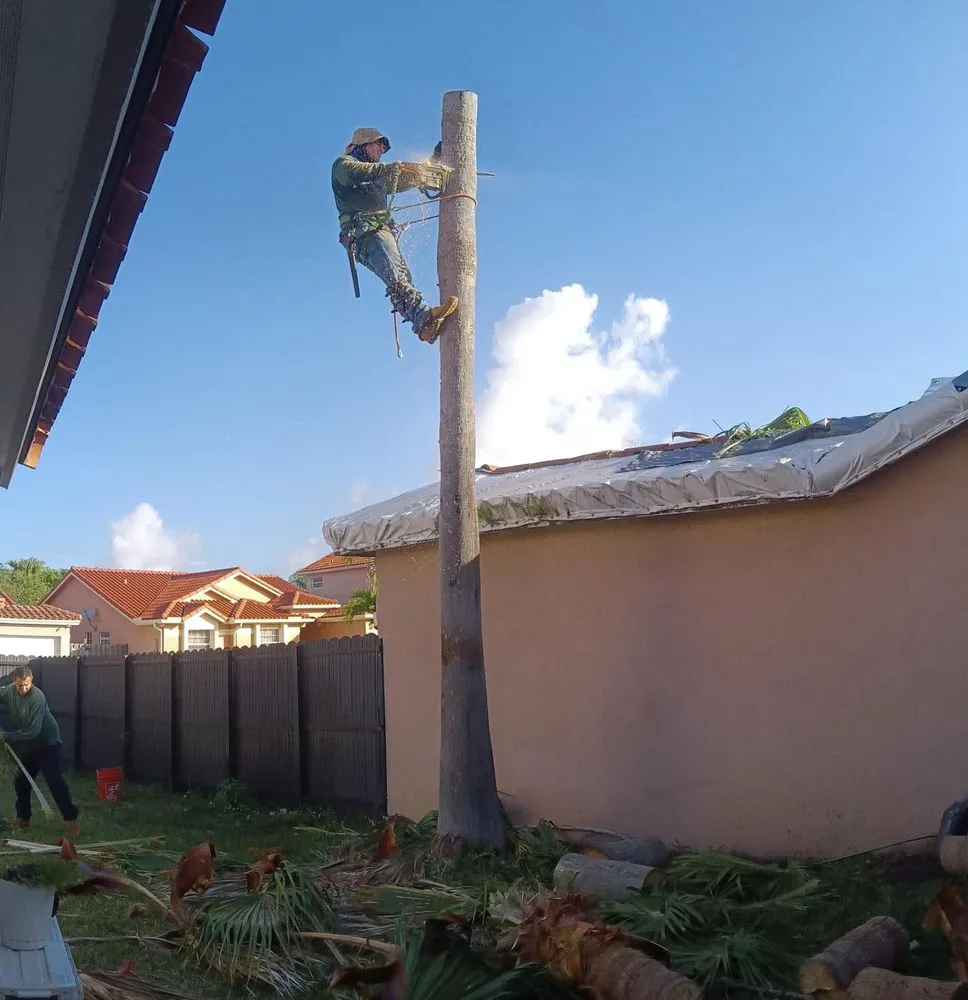 Reliable residential landscaping for year-round maintenance across Miami, FL - Landscaping Four Seasons