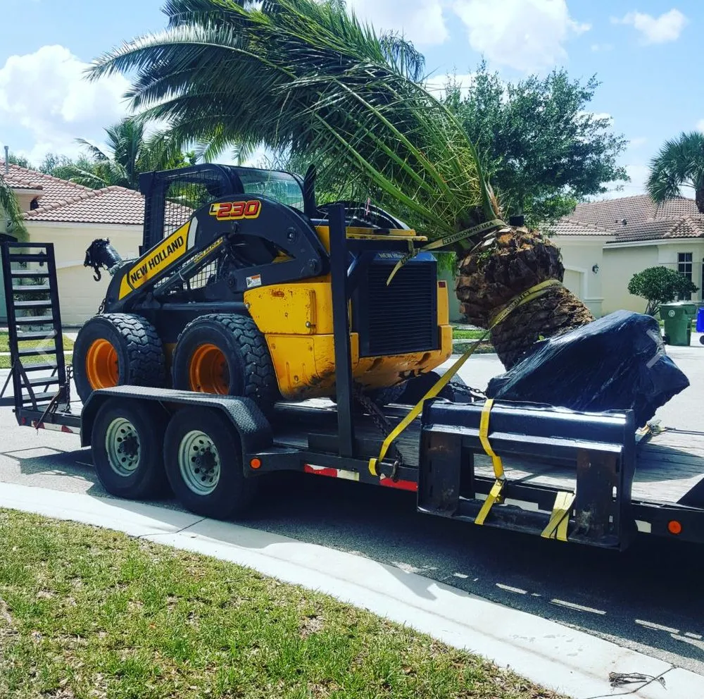 Expert outdoor landscaping in Miami, FL by Landscaping Four Seasons