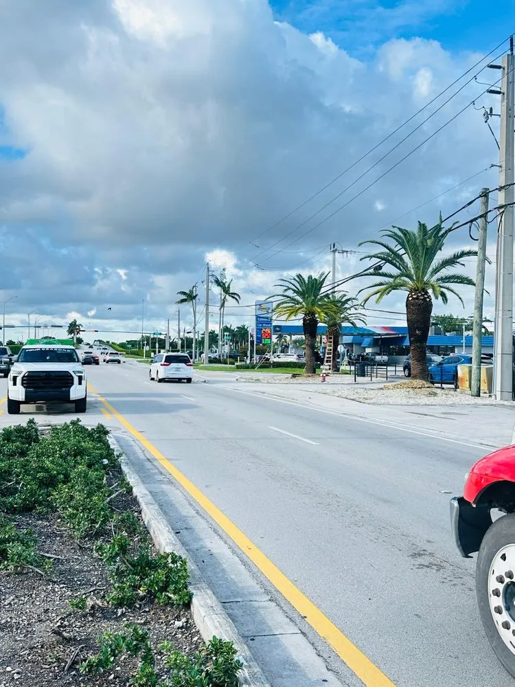 Expert landscape design for residential properties in Miami, FL by Landscaping Four Seasons