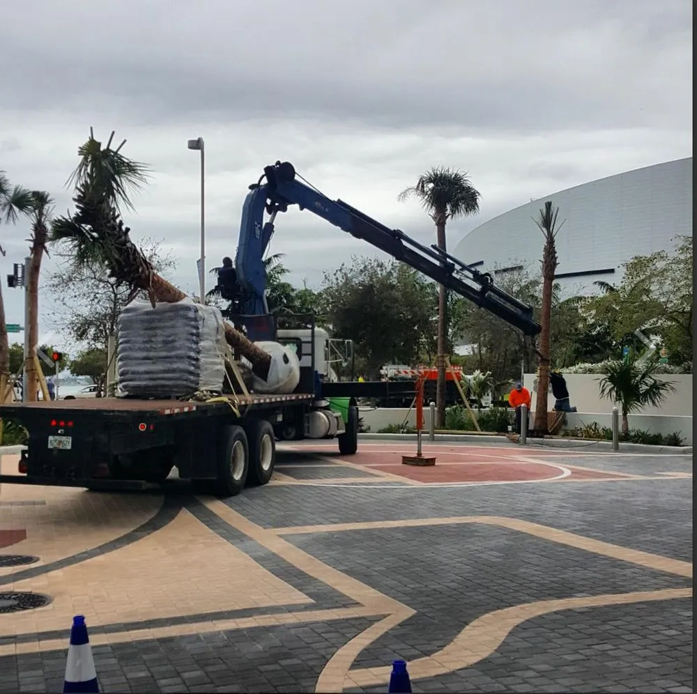 Top-rated landscape design for year-round maintenance across Miami, FL - Landscaping Four Seasons