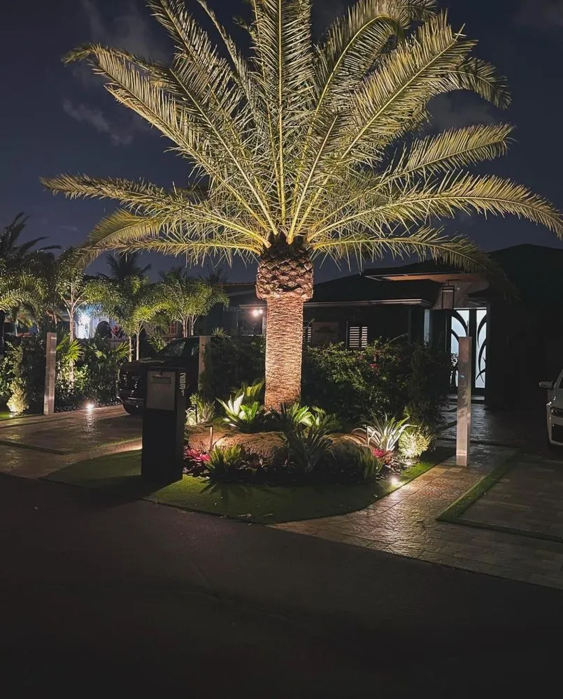 Affordable landscape installation experts serving Miami, FL - Landscaping Four Seasons