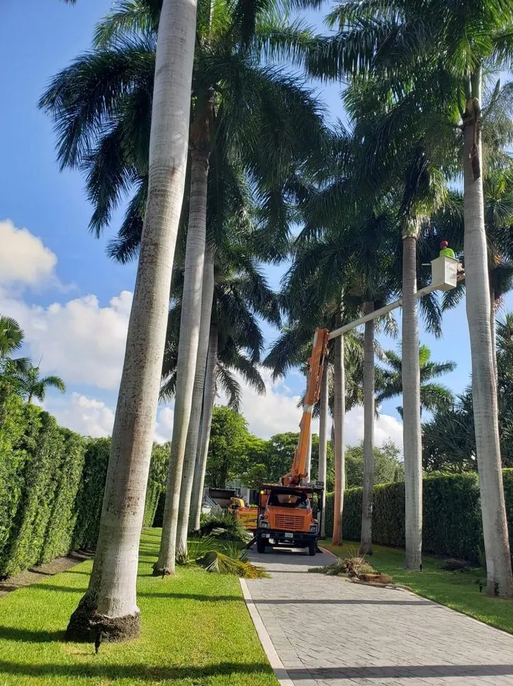 Custom landscape design for residential properties in Miami, FL by Landscaping Four Seasons