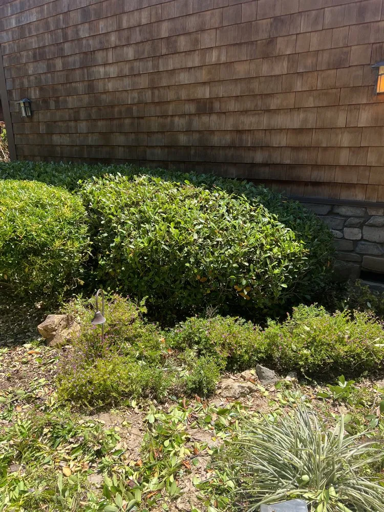 Top-rated landscaping services in Oxnard, CA by Landscaping Garden Cleaning Service Soto