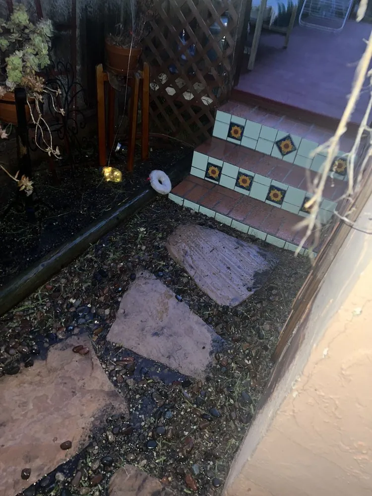 Affordable landscape design experts serving Oxnard, CA - Landscaping Garden Cleaning Service Soto