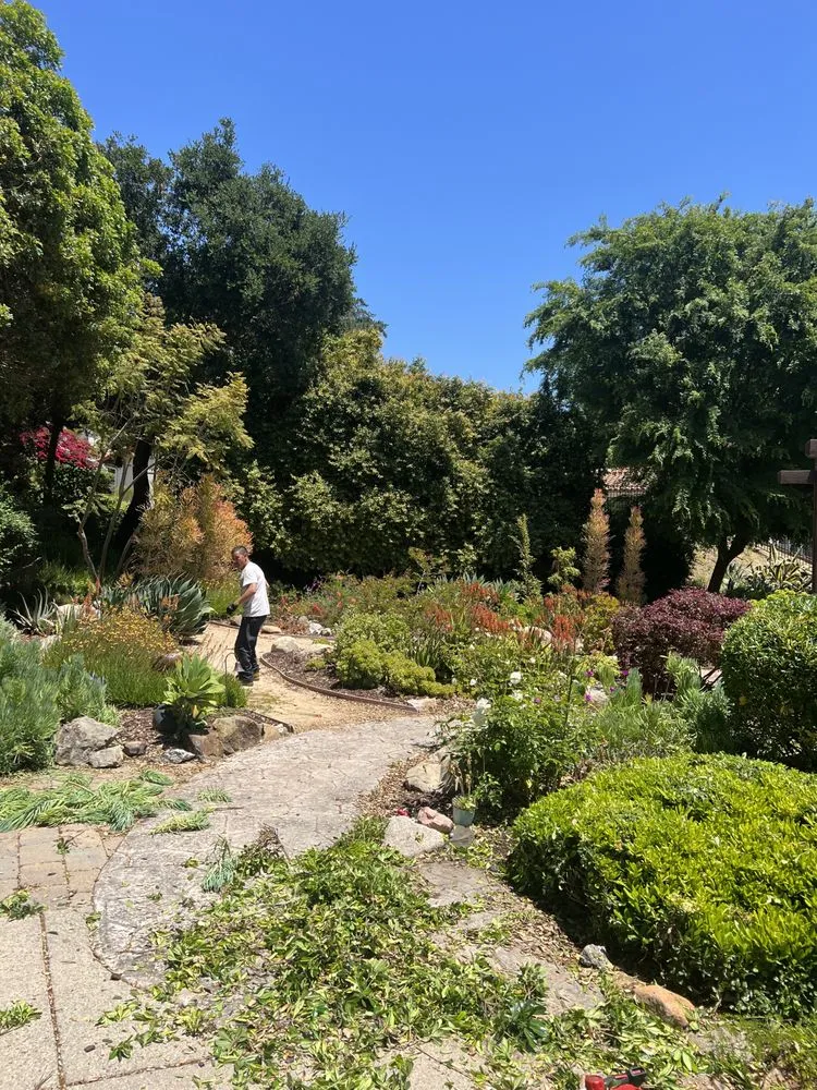 Reliable lawn care service for beautiful yards in Oxnard, CA by Landscaping Garden Cleaning Service Soto