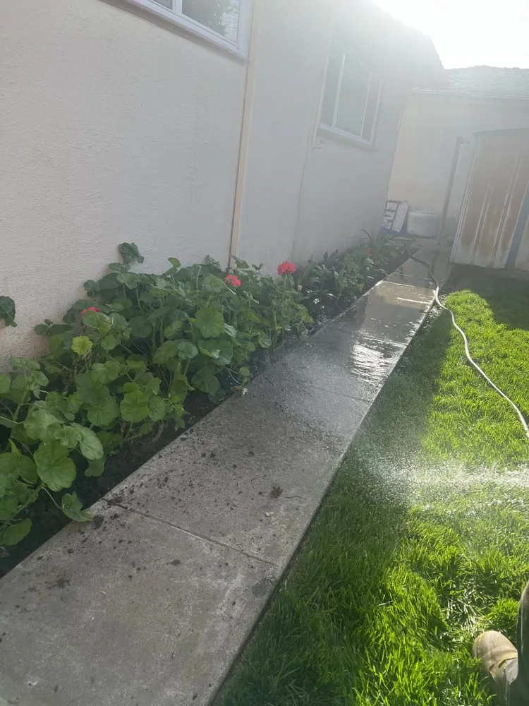 Affordable lawn care service for homes in Oxnard, CA by Landscaping Garden Cleaning Service Soto