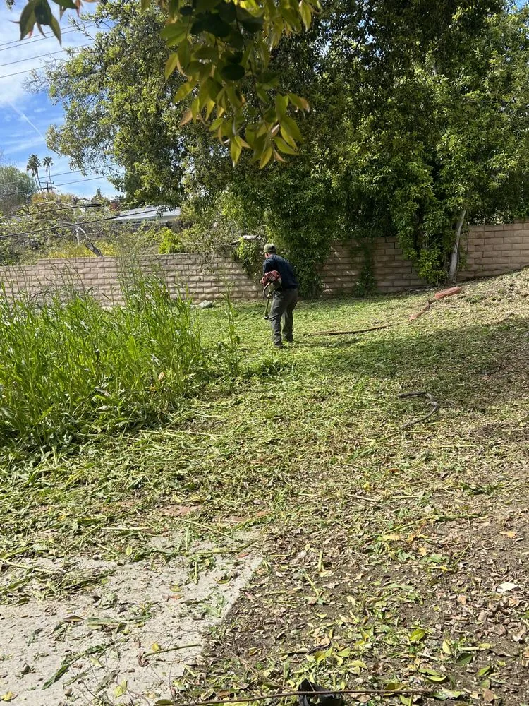 Top-rated landscaping services in Oxnard, CA - Landscaping Garden Cleaning Service Soto