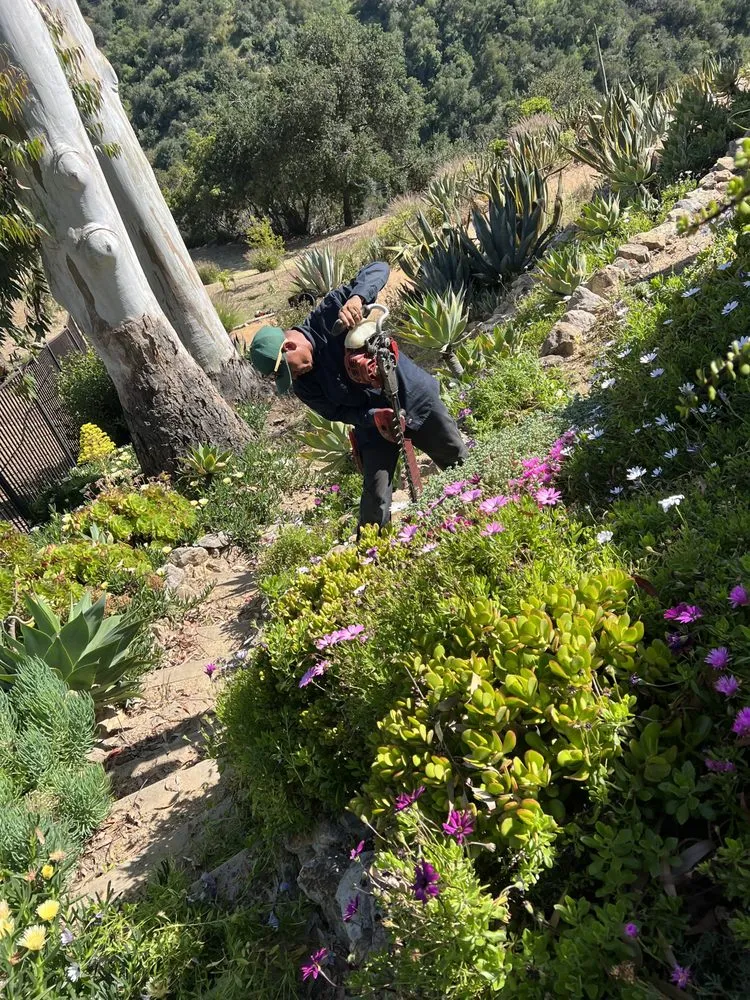 Affordable residential landscaping in Oxnard, CA by Landscaping Garden Cleaning Service Soto