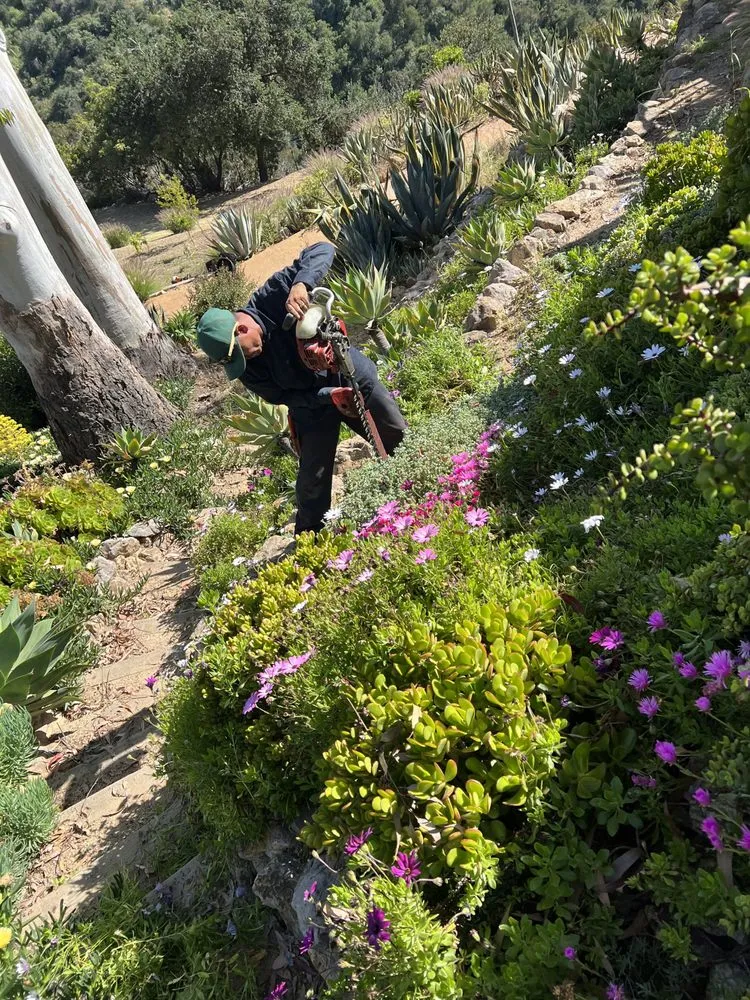 Custom landscape installation in Oxnard, CA - Landscaping Garden Cleaning Service Soto