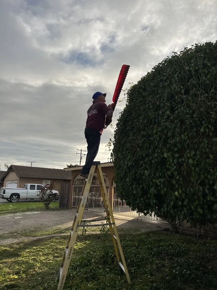 Expert landscaping services in Oxnard, CA by Landscaping Garden Cleaning Service Soto