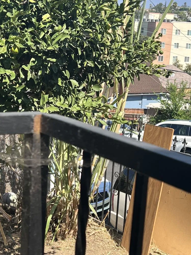 Local yard maintenance with custom design in Oxnard, CA by Landscaping Garden Cleaning Service Soto