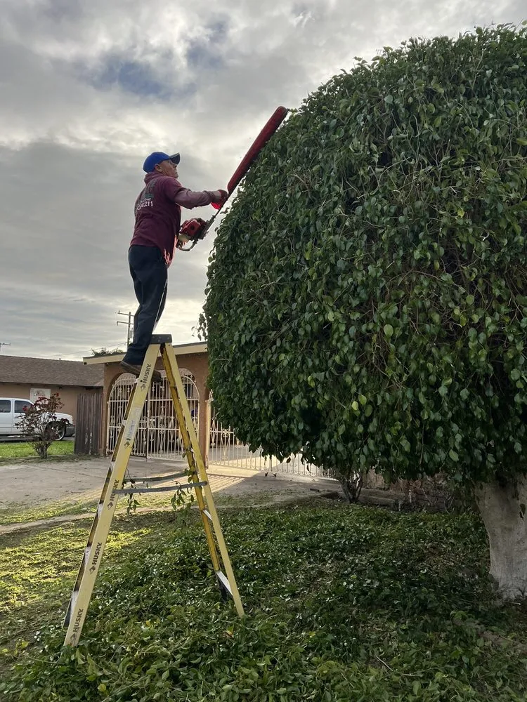 Local residential landscaping experts serving Oxnard, CA - Landscaping Garden Cleaning Service Soto