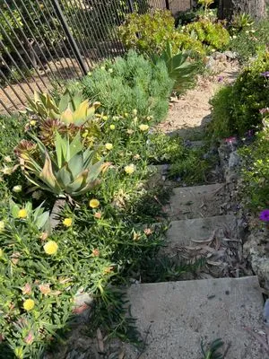 Landscaping Garden Cleaning Service Soto Logo