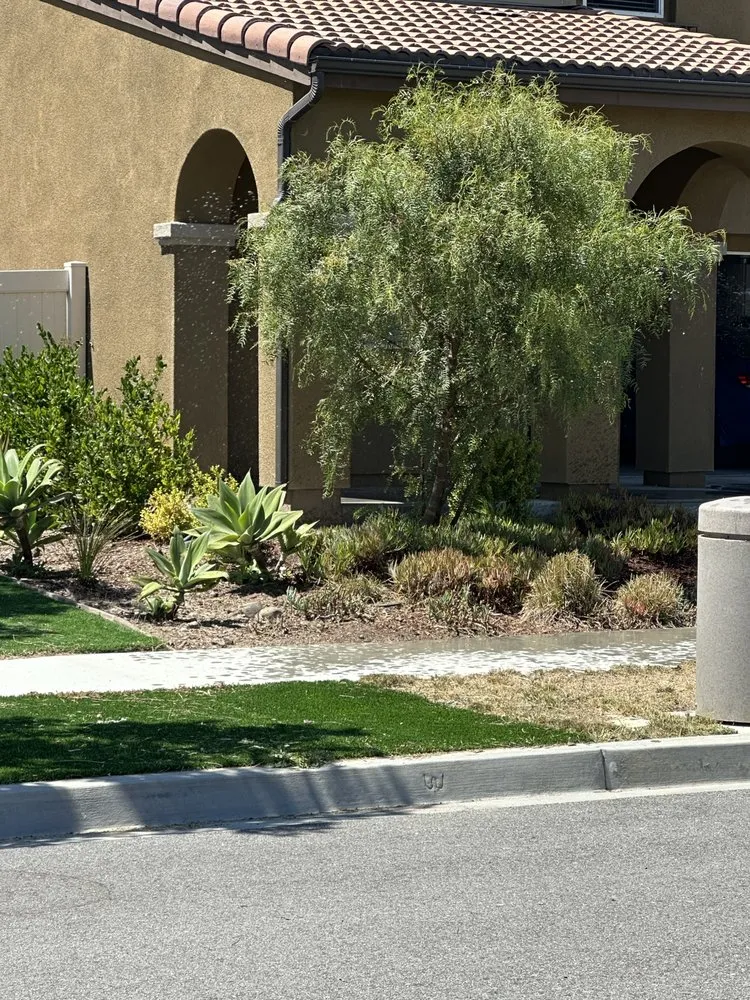 Professional yard cleanup service in Oxnard, CA by landscaping Garden service Madera