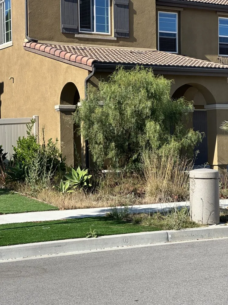 Reliable lawn mowing service for year-round maintenance in Oxnard, CA by landscaping Garden service Madera