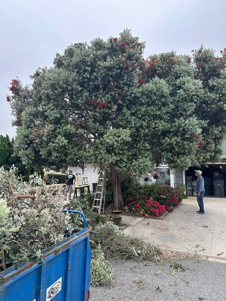 Expert outdoor landscaping experts serving Oxnard, CA - landscaping Garden service Madera