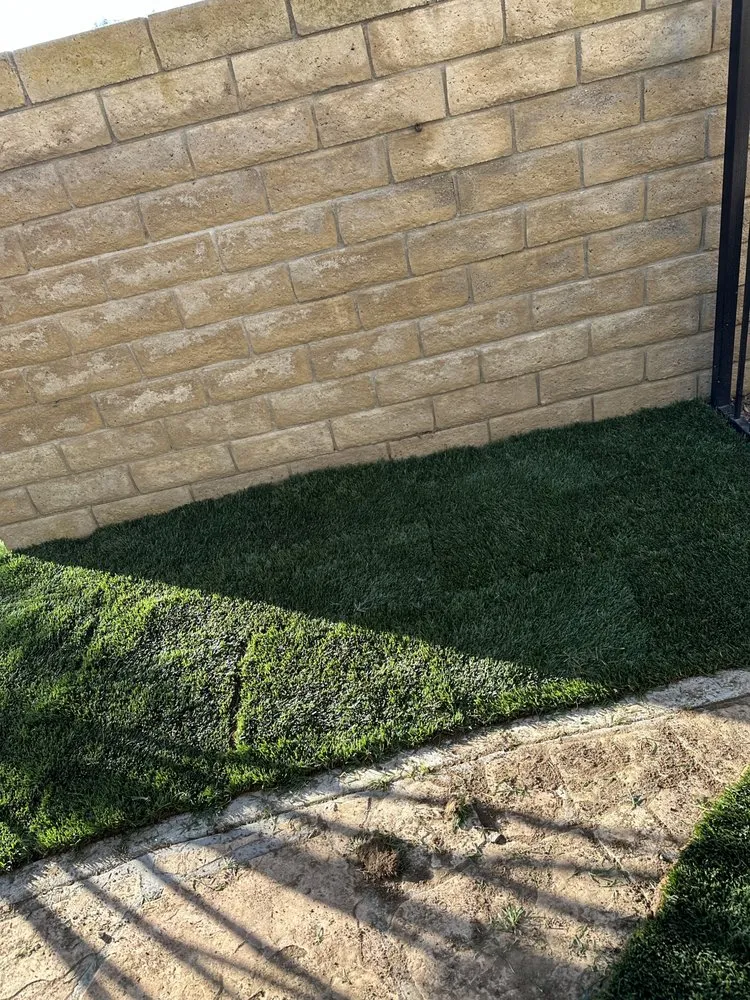 Reliable lawn mowing service experts serving Oxnard, CA - landscaping Garden service Madera