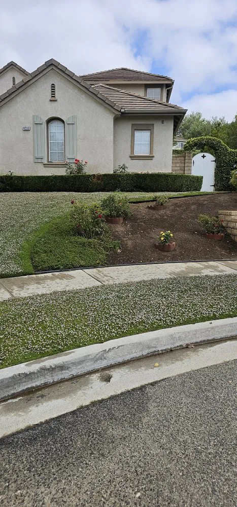 Local landscape design for outdoor upgrades across Oxnard, CA - landscaping Garden service Madera