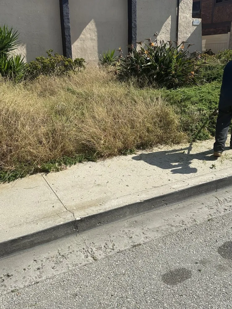 Trusted outdoor landscaping for year-round maintenance across Oxnard, CA - landscaping Garden service Madera