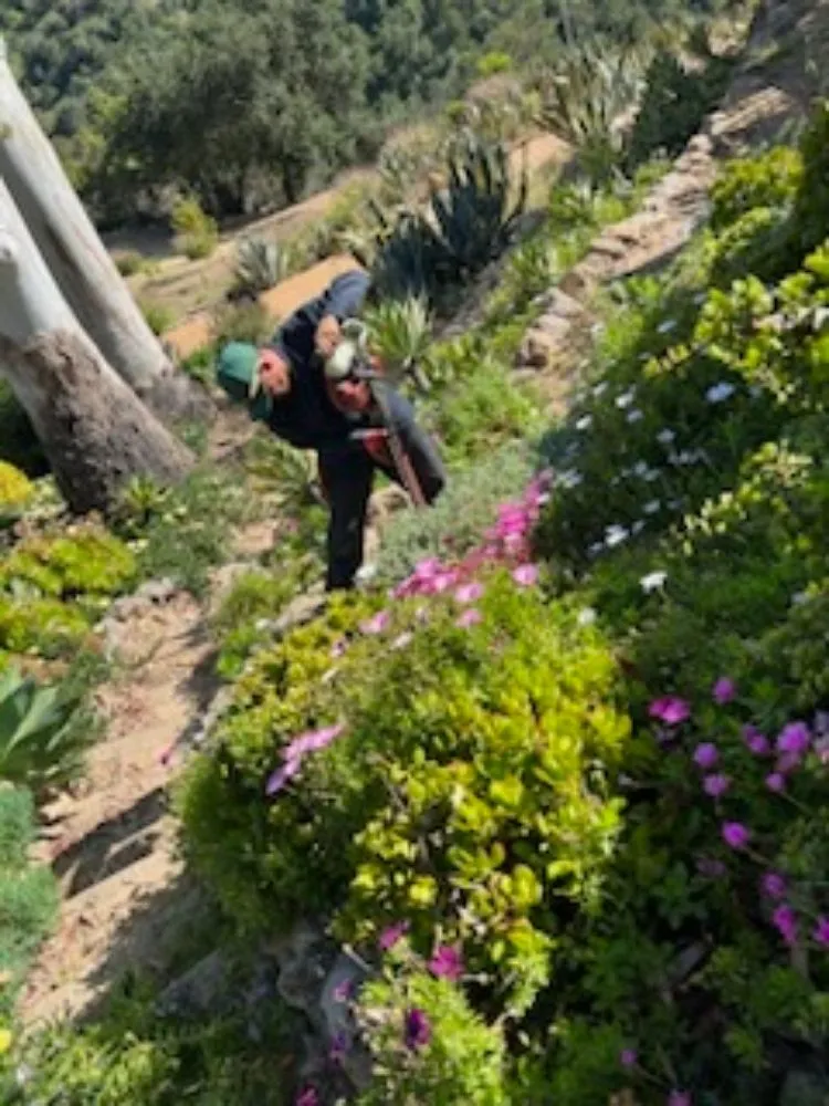 Reliable landscape design in Oxnard, CA by Landscaping Garden Service Soto