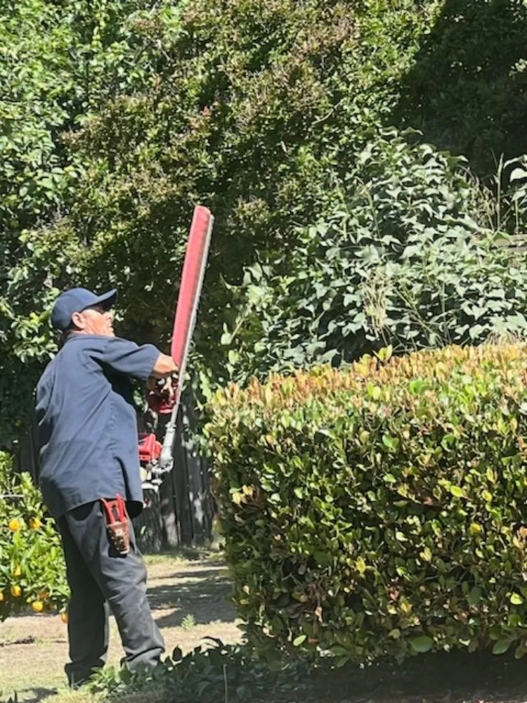 Top-rated outdoor landscaping near you across Oxnard, CA - Landscaping Garden Service Soto