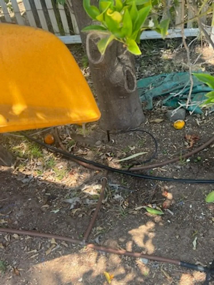 Expert landscape installation in Oxnard, CA - Landscaping Garden Service Soto