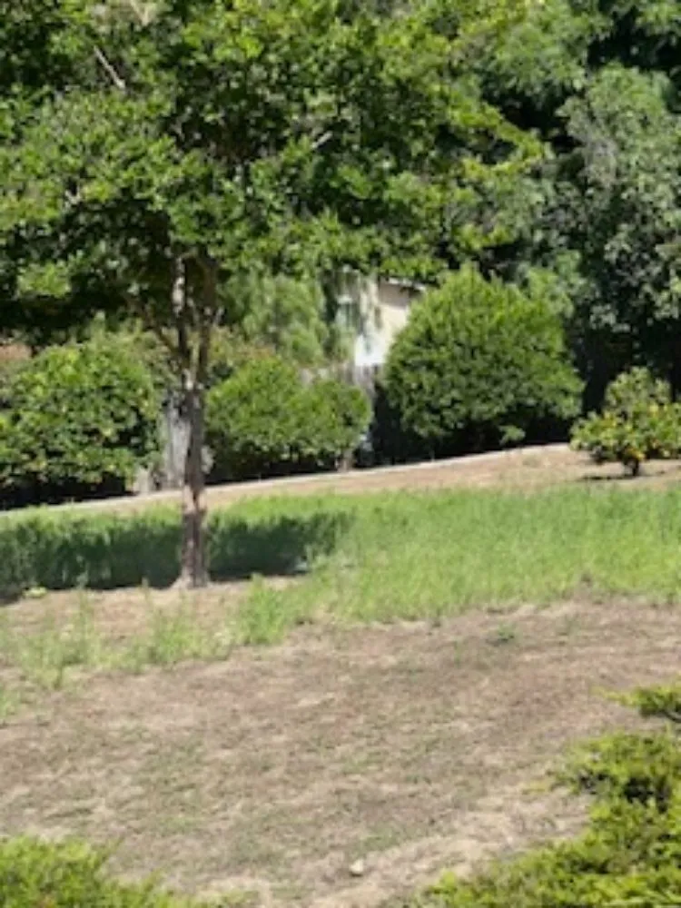 Top-rated landscape installation for homes in Oxnard, CA by Landscaping Garden Service Soto