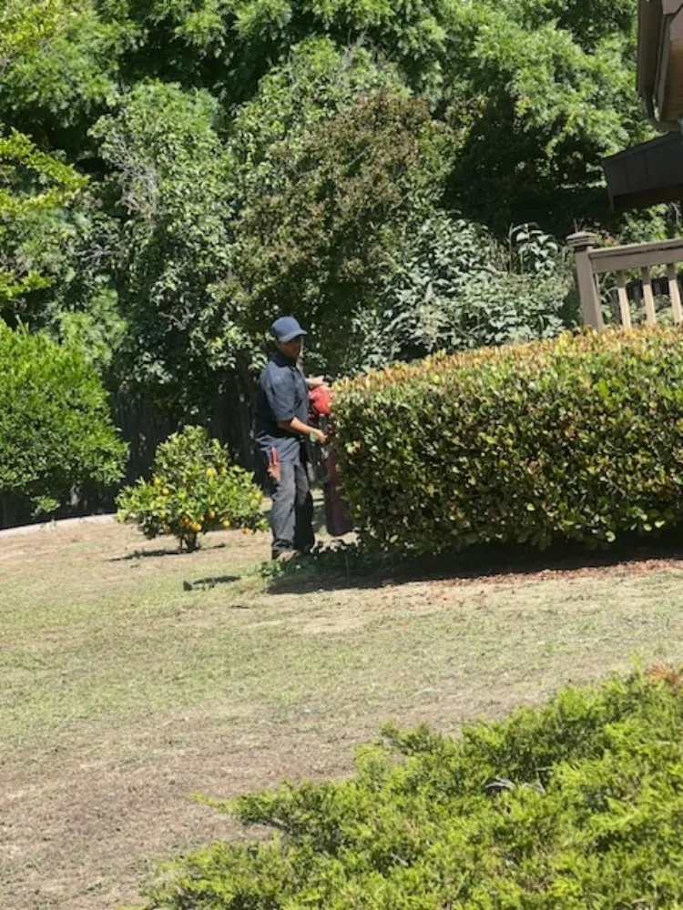 Custom outdoor landscaping with custom design across Oxnard, CA - Landscaping Garden Service Soto