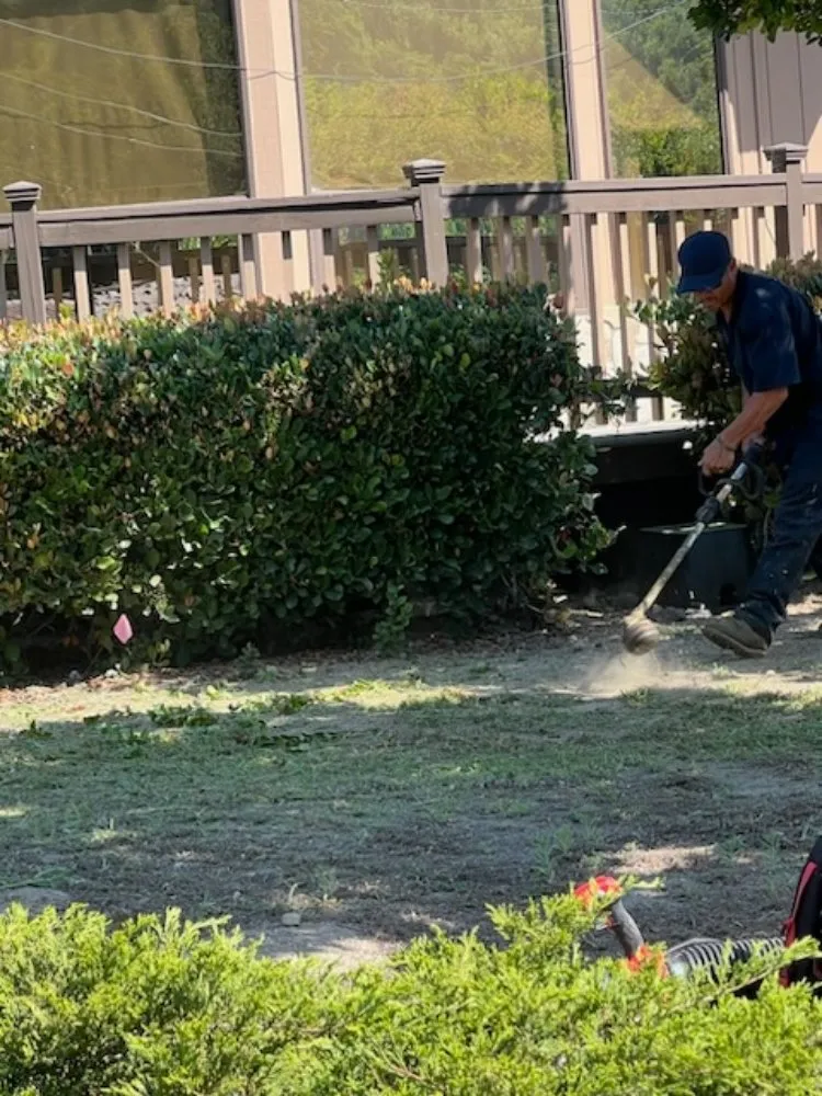 Reliable yard maintenance experts serving Oxnard, CA - Landscaping Garden Service Soto