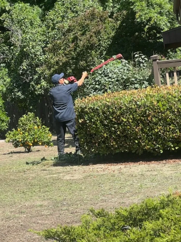 Affordable yard cleanup service in Oxnard, CA - Landscaping Garden Service Soto