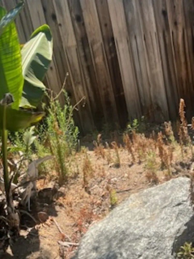 Reliable outdoor landscaping experts serving Oxnard, CA - Landscaping Garden Service Soto