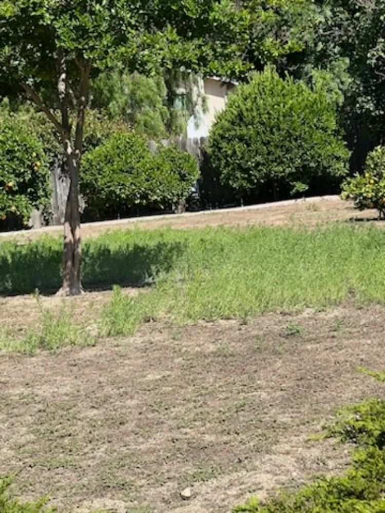 Trusted landscape installation in Oxnard, CA by Landscaping Garden Service Soto