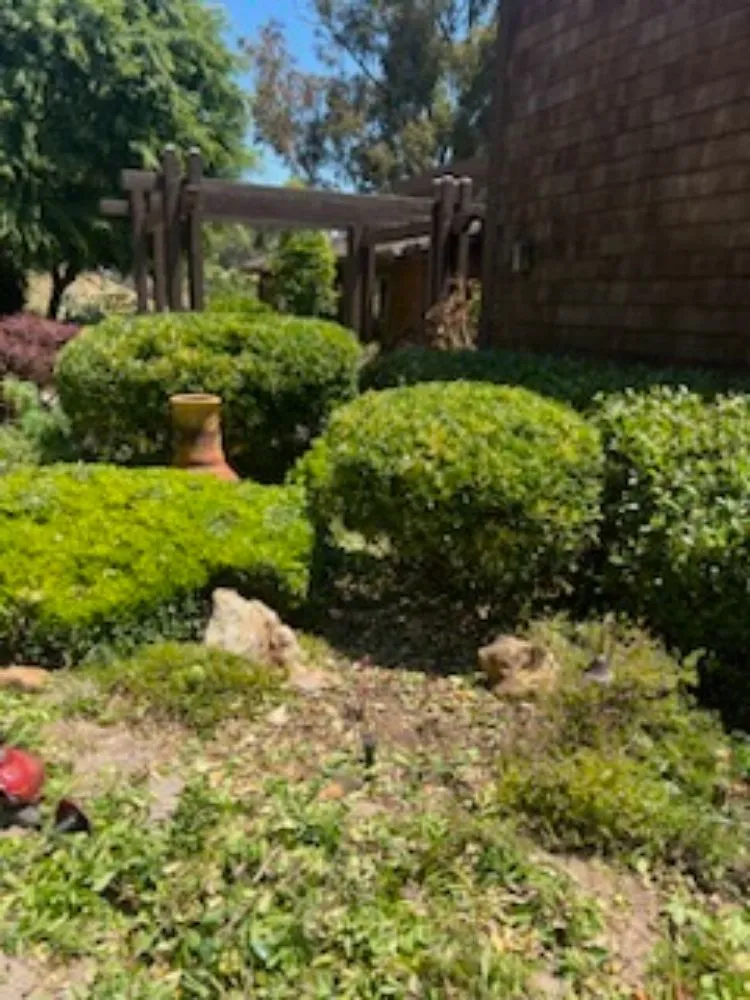 Expert lawn care service in Oxnard, CA by Landscaping Garden Service Soto