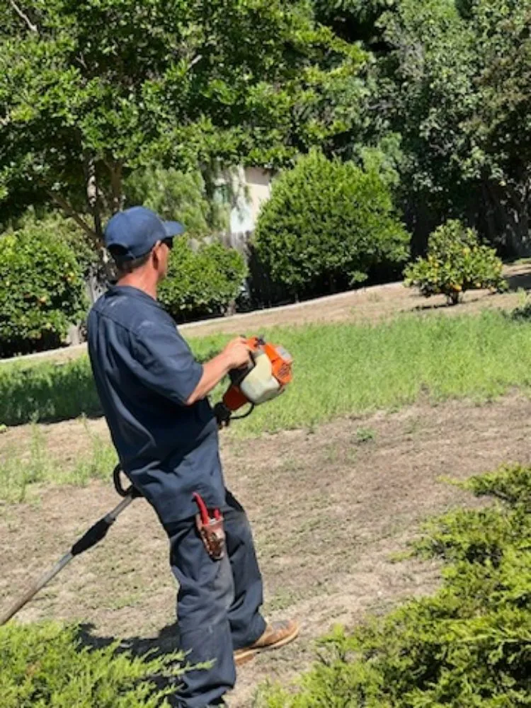 Top-rated landscaping services with custom design in Oxnard, CA by Landscaping Garden Service Soto