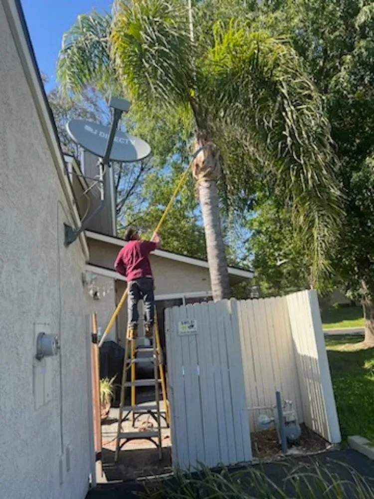 Professional landscape installation experts serving Oxnard, CA - Landscaping Garden Service Soto