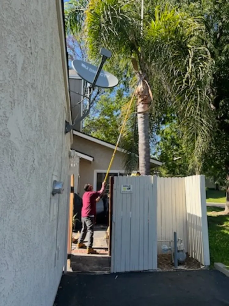 Professional yard maintenance for year-round maintenance across Oxnard, CA - Landscaping Garden Service Soto