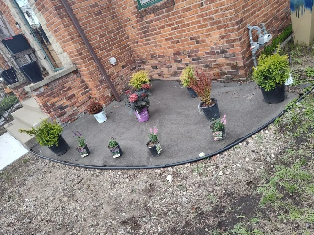 Local lawn care service for beautiful yards across St. Louis Park, MN - Landscaping Garden