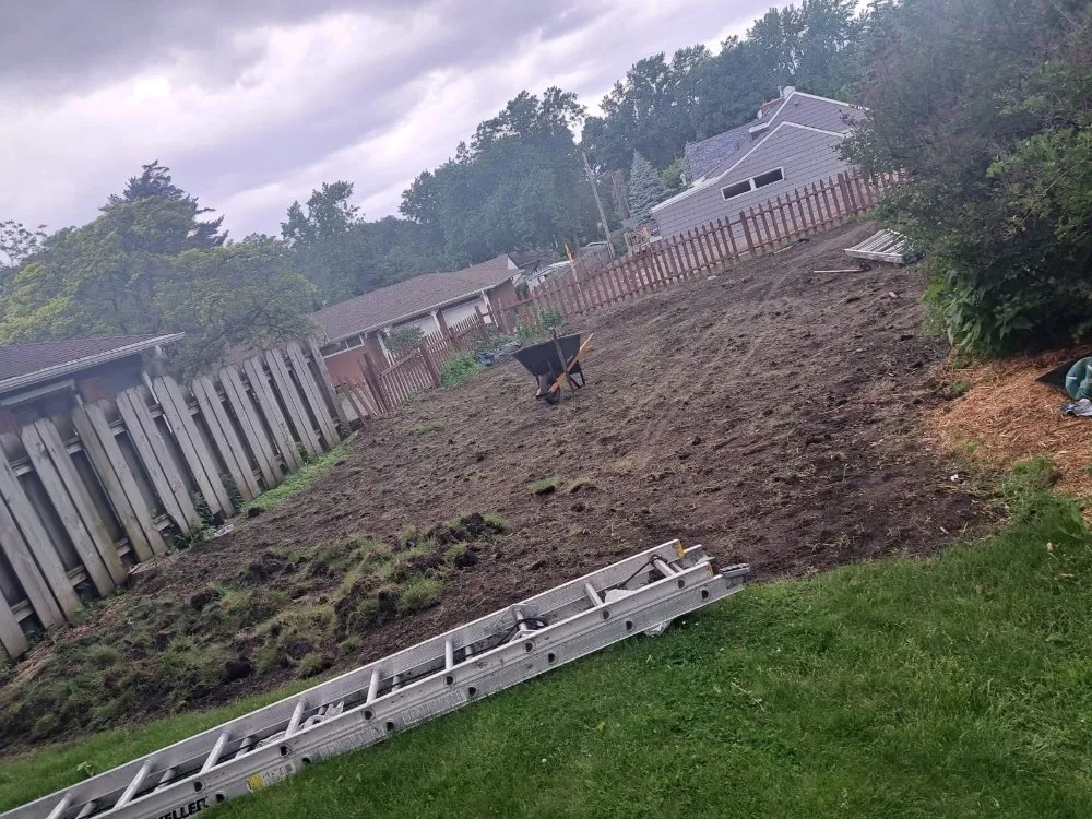 Professional yard maintenance for homes across St. Louis Park, MN - Landscaping Garden