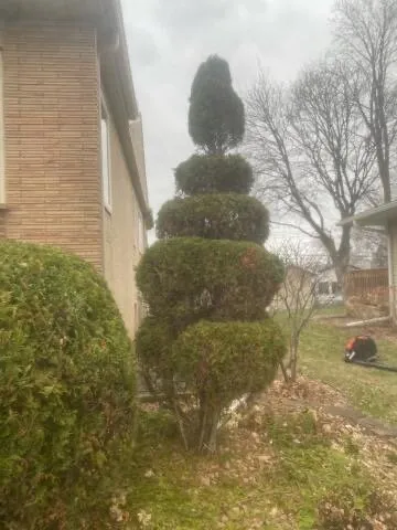 Local lawn care service in St. Louis Park, MN by Landscaping Garden