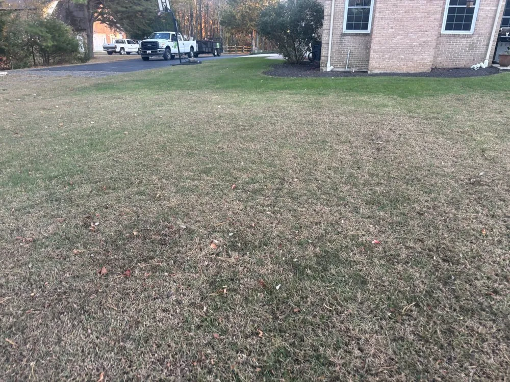 Reliable garden landscaping in Waldorf, MD - Landscaping Greenmaster