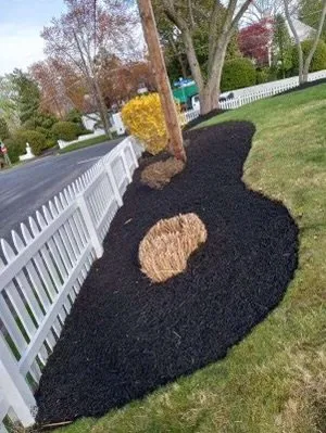 Expert yard maintenance near you in Waldorf, MD by Landscaping Greenmaster