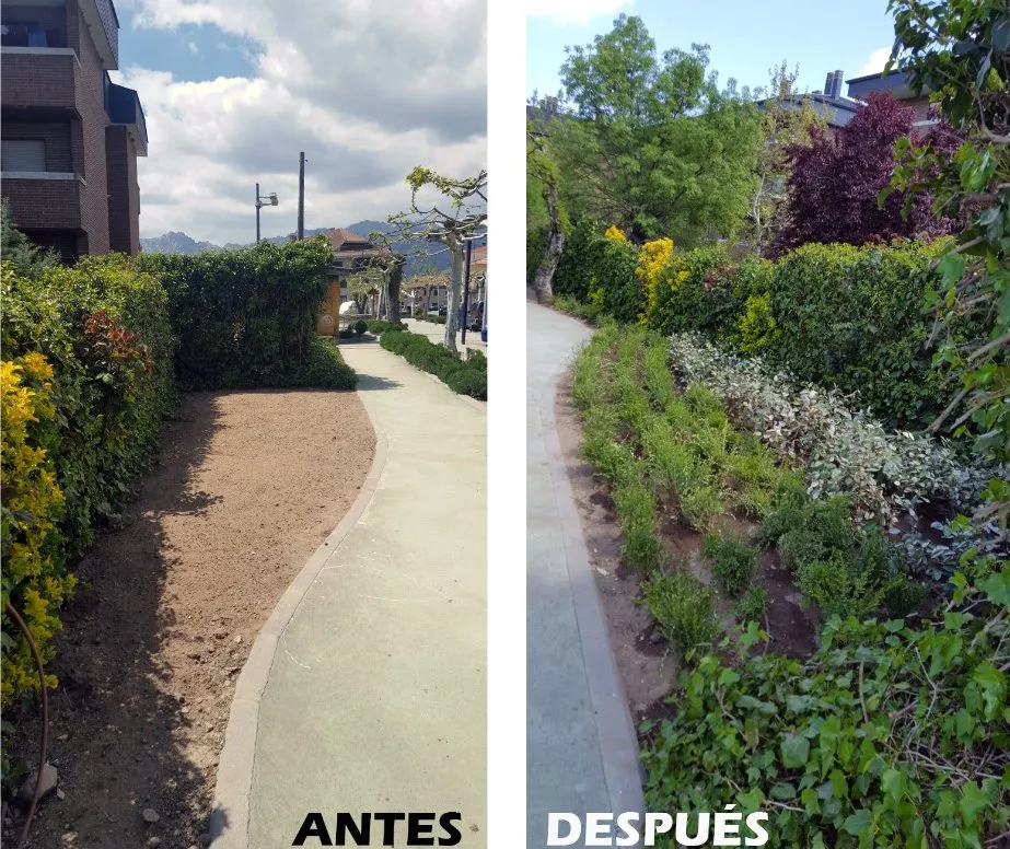 Professional yard cleanup service for residential properties in Inglewood, CA by Landscaping Guerrero Family