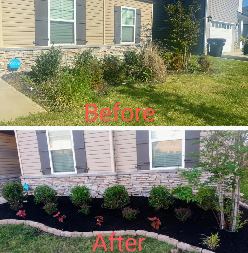 Reliable yard cleanup service in Inglewood, CA - Landscaping Guerrero Family