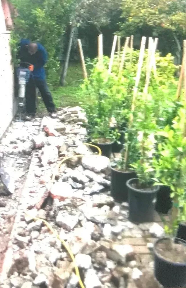 Trusted landscape design for outdoor upgrades across Inglewood, CA - Landscaping Guerrero Family