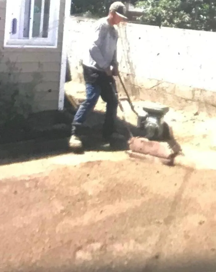 Reliable landscaping services for homes in Inglewood, CA by Landscaping Guerrero Family